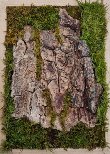 SPIRIT OF THE TREE - Ancient Tree Bark Preserved Moss Art "SPIRIT OF THE TREE…" başlıklı Kolaj Simona Zorina tarafından, Orijinal sanat, Ahşap Ahşap panel üzerine monte edilmiş