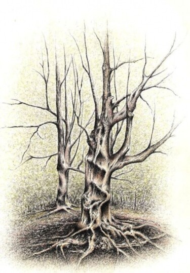 Drawing titled "Arrayán" by Tamara Valdovino, Original Artwork