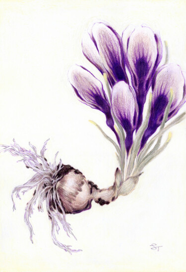 Schilderij getiteld "Rethinking Botany:…" door Tanya Sviatlichnaya, Origineel Kunstwerk, Conté
