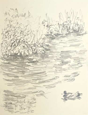 「Duck and pond.」というタイトルの描画 Victoria Generalによって, オリジナルのアートワーク, 鉛筆
