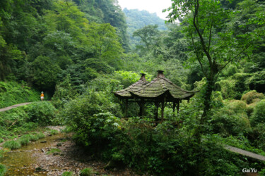 "Qingcheng Back Moun…" başlıklı Fotoğraf Gai Yu tarafından, Orijinal sanat, Dijital Fotoğrafçılık