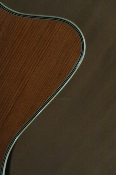 Curved Guitar in Colour Fotografia intitolato "Curved Guitar in Co…" da Incisive Fool, Opera d'arte originale, Fotografia digitale