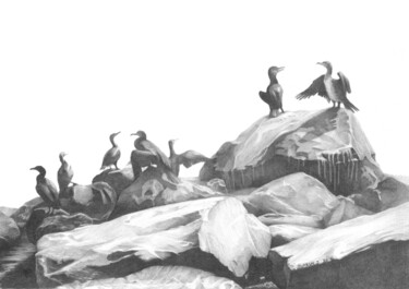 Cormorants on the coast Σχέδιο με τίτλο "Cormorants on the c…" από Julia Suprun, Αυθεντικά έργα τέχνης, Γραφίτης