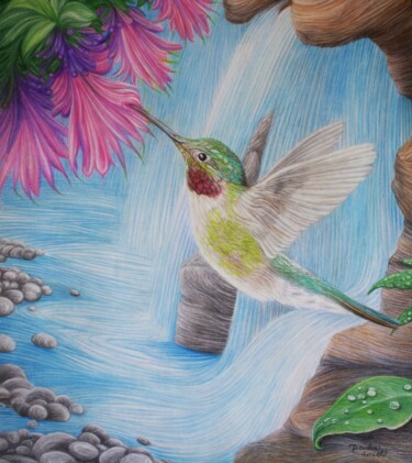 Anna’s Hummingbird at the Waterfall Рисунок под названием "Anna’s Hummingbird…" - Deidra Smith, Подлинное произведение искусства, Карандаш