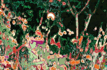 Photographie intitulée "Mizala Forest-1" par Pablo Guillamon, Œuvre d'art originale, Photographie numérique