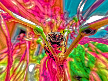Fotografie getiteld "Dream of insect" door Masaharu Takahashi, Origineel Kunstwerk, Digitale fotografie