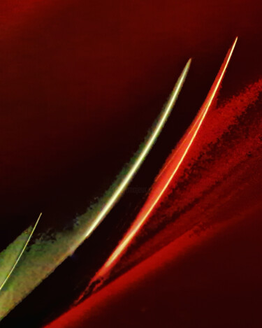 Fotografía titulada "Dynamic Duo" por Incisive Fool, Obra de arte original, Fotografía digital