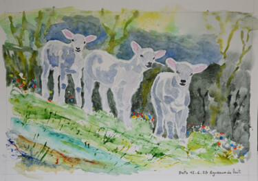 绘画 标题为“Agneaux de lait” 由Bernard Pothier, 原创艺术品, 水彩