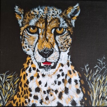 Animaux d’Afrique 9