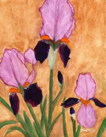 Irises from the Courtyard Pittura intitolato "Irises from the Cou…" da Janel Bragg, Opera d'arte originale, Acquarello