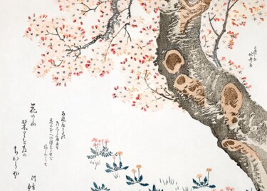 Digital Arts titled "Cherry Blossom Sere…" by Chun Yu Guan, Original Artwork, AI generated image Mounted on Cardboard