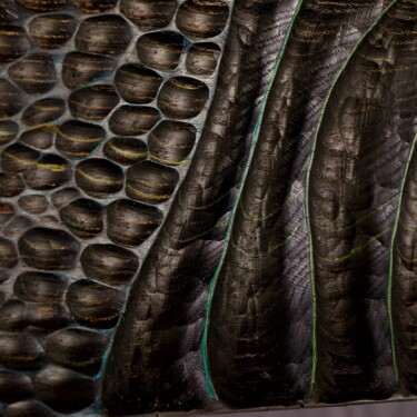Sculpture titled "Abalone" by Lionel Le Coq, Original Artwork, Wood