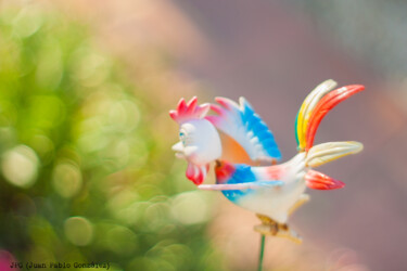 Fake plastic bird Fotografia intitolato "Fake plastic bird" da Juan Pablo Gonzalez, Opera d'arte originale, Fotografia digitale