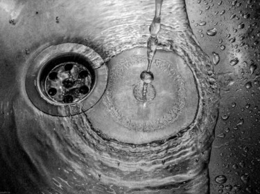 Bacha Photography titled "Bacha" by Juan Pablo Gonzalez, Original Artwork, Digital Photography