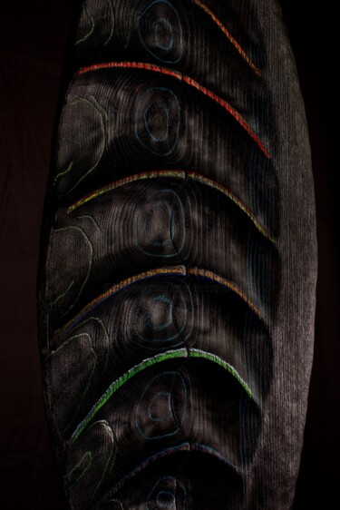 Sculpture titled "Board" by Lionel Le Coq, Original Artwork, Wood