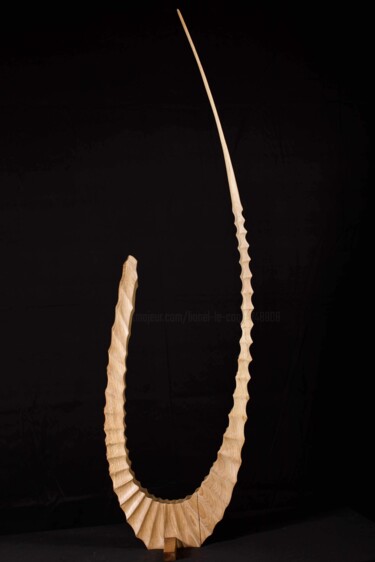 Sculpture titled "Groove" by Lionel Le Coq, Original Artwork, Wood