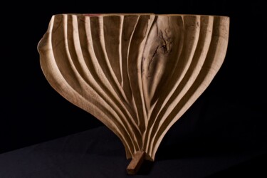 Sculpture titled "Weed" by Lionel Le Coq, Original Artwork, Wood