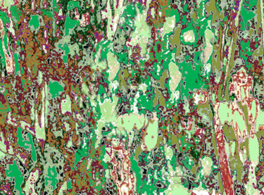 Fotografie getiteld "Mizala Forest-2" door Pablo Guillamon, Origineel Kunstwerk, Digitale fotografie