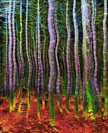 Фотография под названием "Arbor Wave" - Peter Watson, Подлинное произведение искусства, Цифровая фотография