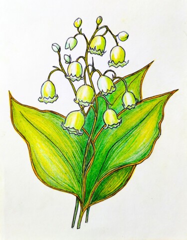 Drawing titled "Quiet fragrance - d…" by Iren Solo, Original Artwork, Pencil