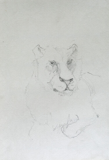 "lion" başlıklı Resim Pavel Minchenia tarafından, Orijinal sanat, Kalem