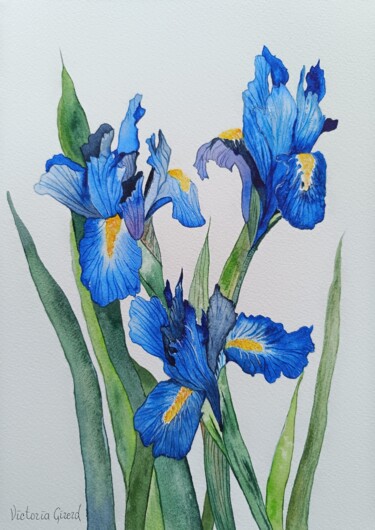Schilderij getiteld "Iris bleus" door Victoria Girerd, Origineel Kunstwerk, Aquarel
