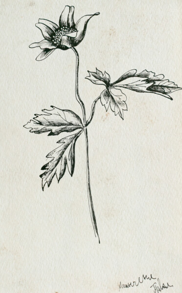 Schilderij getiteld "floral" door Pavel Minchenia, Origineel Kunstwerk, Inkt