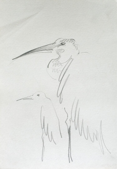 Drawing titled "egret" by Pavel Minchenia, Original Artwork, Pencil
