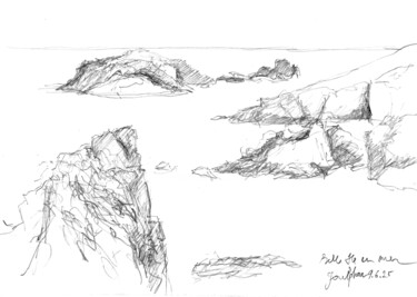 Belle Île-en-Mer, falaises vues du GR340 vers Goulphar Disegno intitolato "Belle Île-en-Mer, f…" da Philippe Juttens, Opera d'arte originale, Matita