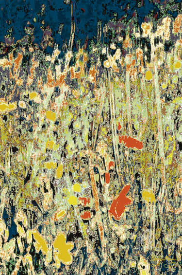 Fotografie getiteld "Mizala Forest-3" door Pablo Guillamon, Origineel Kunstwerk, Digitale fotografie