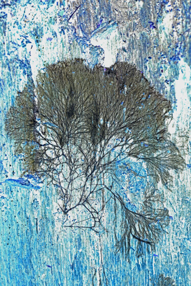 Fotografie getiteld "Arbre à champignon…" door Hoang Cong Minh, Origineel Kunstwerk, Digitale fotografie