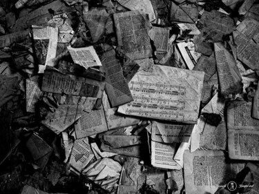 "Partition oubliée" başlıklı Fotoğraf Franck Dupont tarafından, Orijinal sanat, Fotoşopsuz fotoğraf