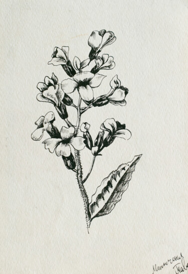 Schilderij getiteld "flowers" door Pavel Minchenia, Origineel Kunstwerk, Inkt