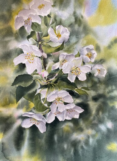 제목이 "Apples blossom, wat…"인 미술작품 Natalia Butenko로, 원작, 수채화