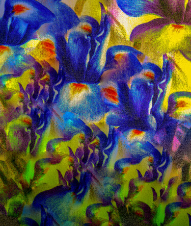 "Gravura A34" başlıklı Dijital Sanat Antonio Guimaraes tarafından, Orijinal sanat, Dijital Resim