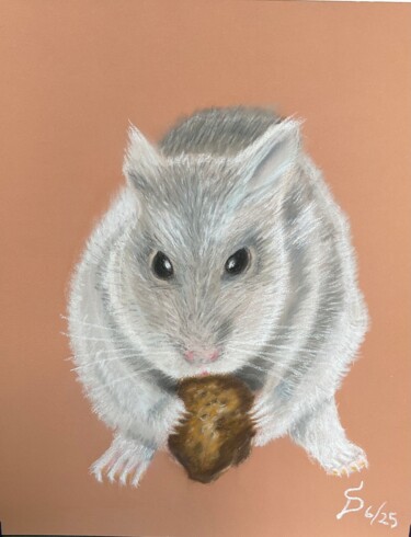 Jake, der Zwerghamster Peinture intitulée "Jake, der Zwerghams…" par Stefan Dhein, Œuvre d'art originale, Pastel