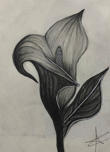 ""A bloom drawn in s…" başlıklı Resim Aya Al-Sunaidar tarafından, Orijinal sanat, Mürekkep