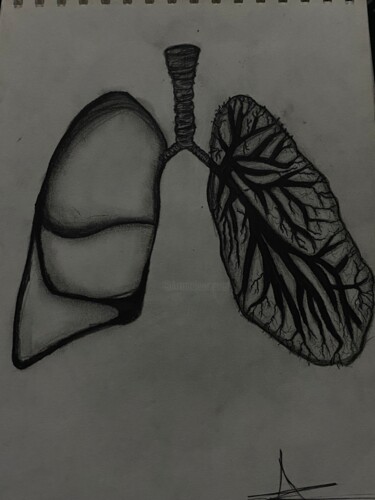 图画 标题为“Still Breathing, St…” 由Aya Al-Sunaidar, 原创艺术品, 木炭