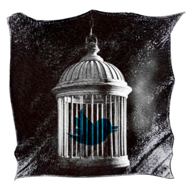«Twitter» a blue bird in a cage, Polaroid mixed-media art 摄影 标题为“«Twitter» a blue bi…” 由Vladimir Borele, 原创艺术品, 电影摄影