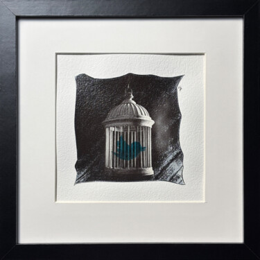 «Twitter» a blue bird in a cage, one-of-a-kind mixed-media Photographie intitulée "«Twitter» a blue bi…" par Vladimir Borele, Œuvre d'art originale, Tirage argentique