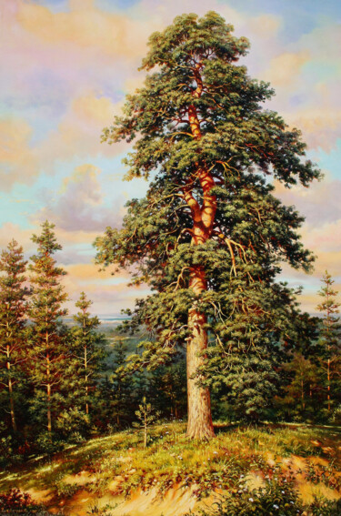 绘画 标题为“Pine Tree on the Hi…” 由Serhii Kapran, 原创艺术品, 油