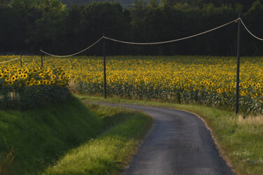 Photography titled "L'Entre-deux-mers e…" by Hoang Cong Minh  ( Minh Hoang ), Original Artwork, Non Manipulated Photography