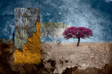Fotografia intitolato "Tout l'or du monde" da Jean-Pierre Maillet, Opera d'arte originale, Fotografia digitale
