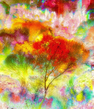 Photographie intitulée "Hidden Realm 5" par Peter Watson, Œuvre d'art originale, Photographie numérique