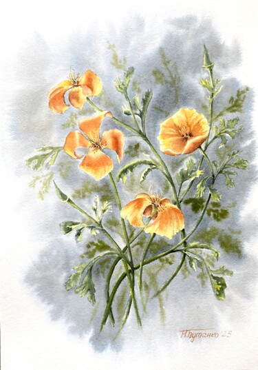 California poppies in vintage style, original watercolor