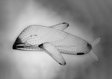Photography titled "Chrysalide Océane" by Cecile Ducrot, Original Artwork, Manipulated Photography