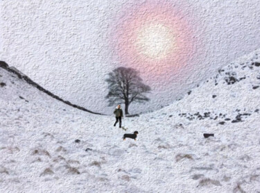 Sycamore Hap Tree Winter walks Digitale Kunst getiteld "Sycamore Hap Tree W…" door Davina Dugnas, Origineel Kunstwerk, Digitale collage Gemonteerd op Frame…