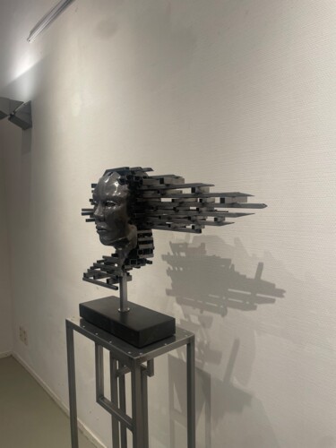 Sculpture titled "Een ongenuanceerd w…" by Peter Bly, Original Artwork, Metals