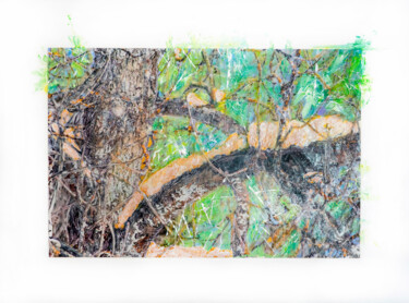 Fotografia intitulada "Alterity" por Serena Marzari, Obras de arte originais, Fotografia Manipulada