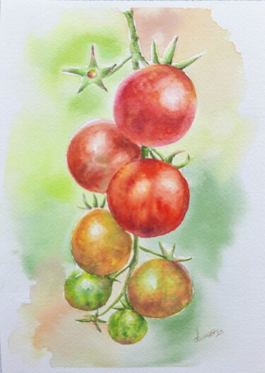 绘画 标题为“Tomato Cluster” 由Fineartderya, 原创艺术品, 水彩